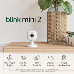 Blink Mini 2 — Home Security & Pet Camera